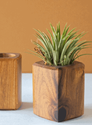 art and soil bangalore w4zufrjiwhw unsplash 1