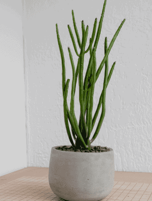 henry co fobu8l6pyla unsplash 1