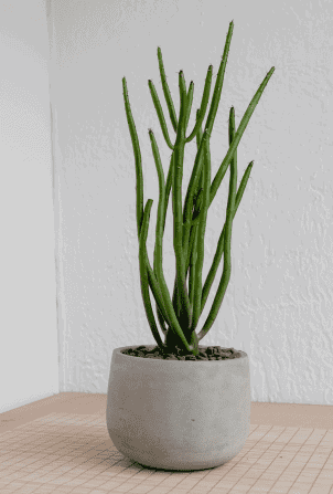 Henry Co FObU8l6PyLA Unsplash 1 1