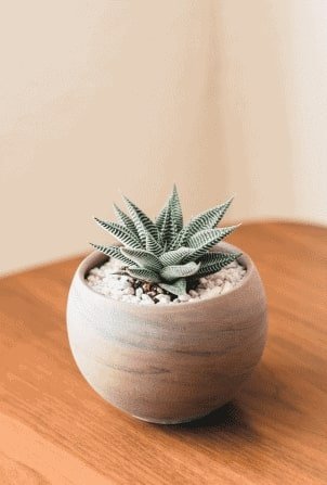 Henry Co FObU8l6PyLA Unsplash 1